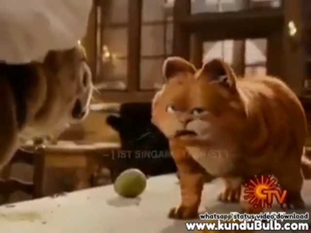 cat Comedy | Funny | animation cartoon | funny | Tamil Whatsapp Status  Videos | KunduBulb